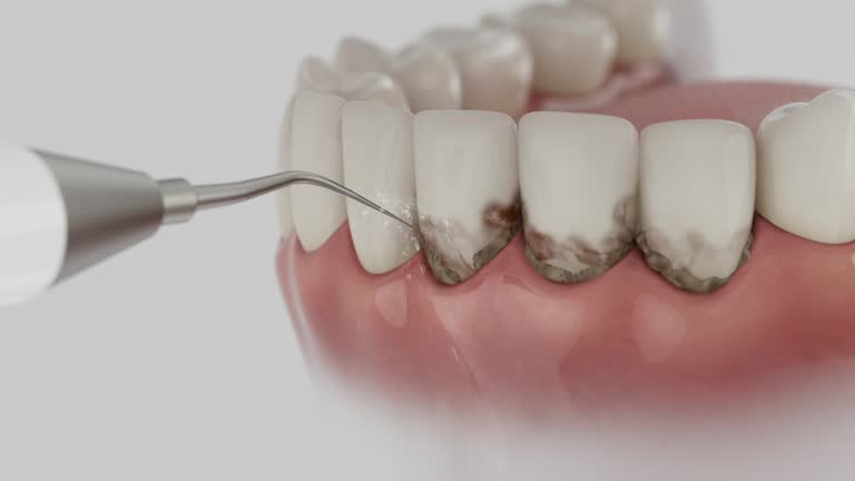 Reliable Dental contractor in Stonebridge, NJ by Dentist Open Now